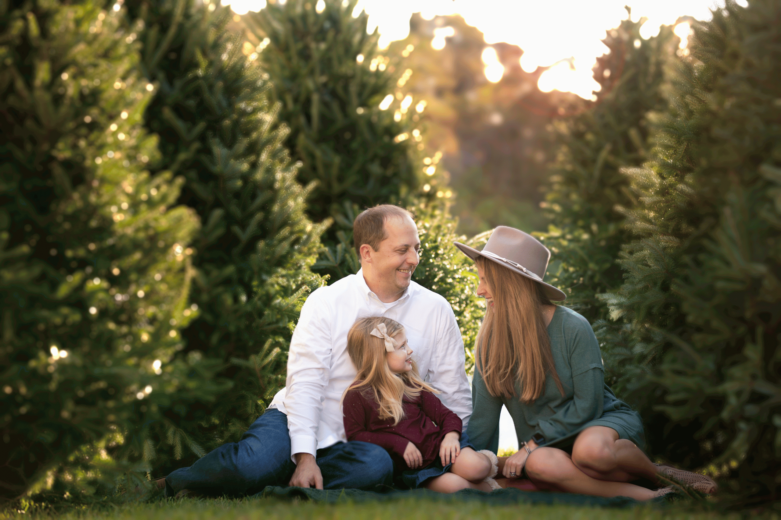 tree farm session