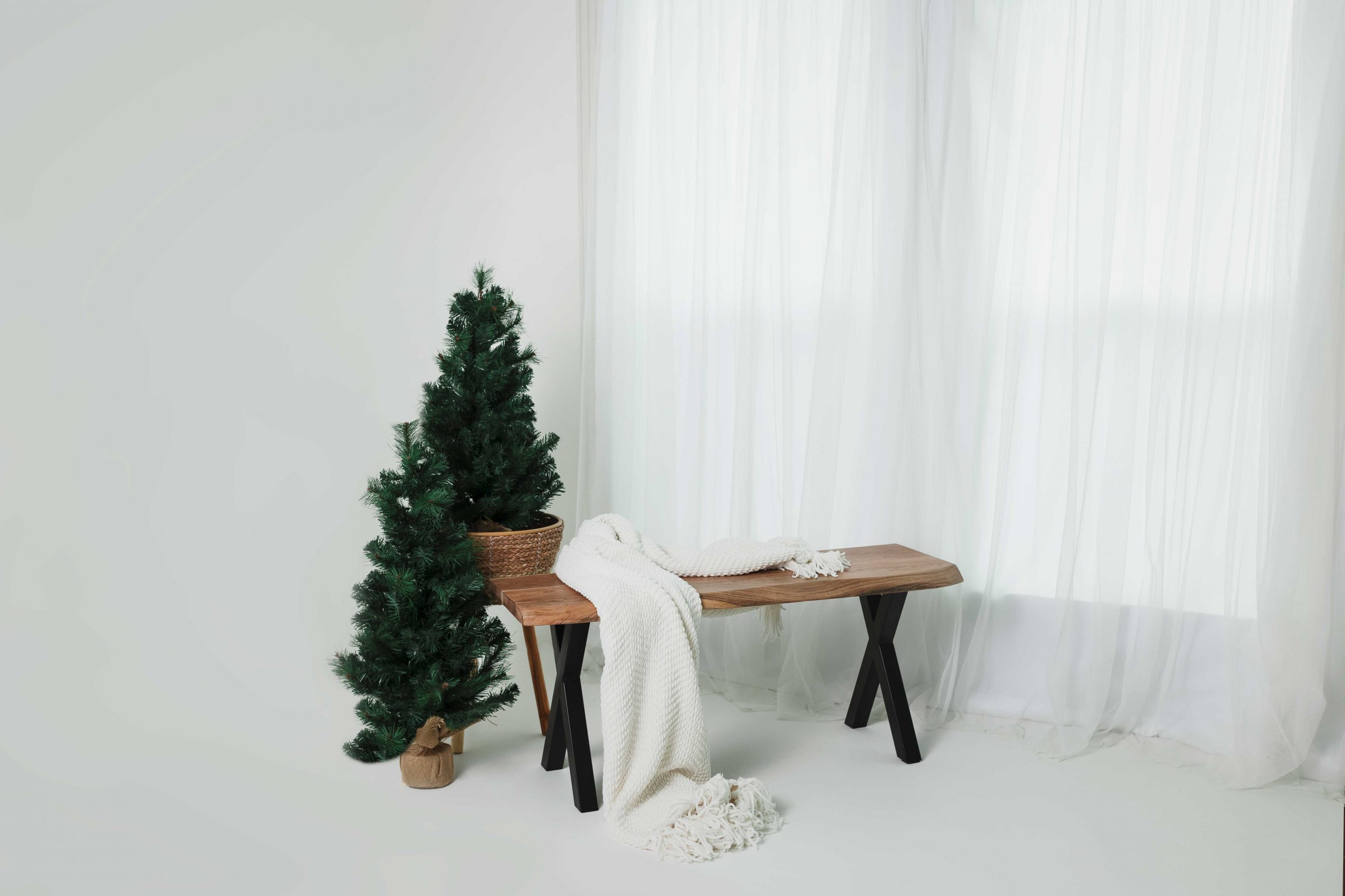 christmas mini session